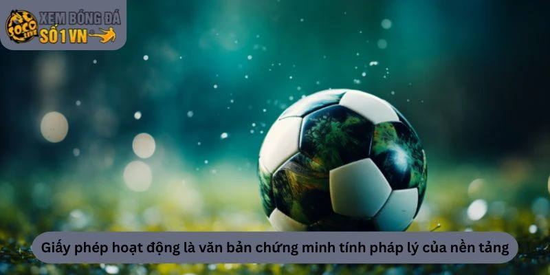 Giấy phép hoạt động là văn bản chứng minh tính pháp lý của nền tảng