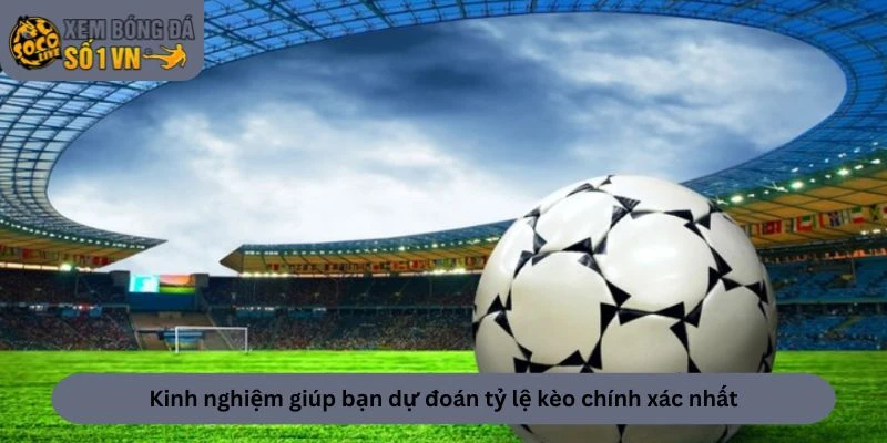 Kinh nghiệm giúp bạn dự đoán tỷ lệ kèo chính xác nhất