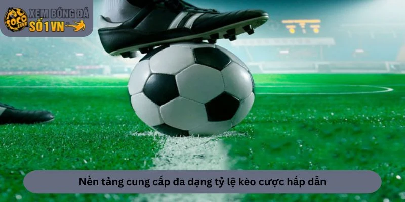 Nền tảng cung cấp đa dạng tỷ lệ kèo cược hấp dẫn