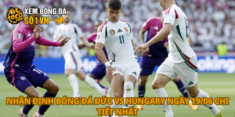 Nhận Định Bóng Đá Đức Vs Hungary Ngày 19/06 1 Nhận định bóng đá Đức vs Hungary ngày 19/06 chi tiết nhất