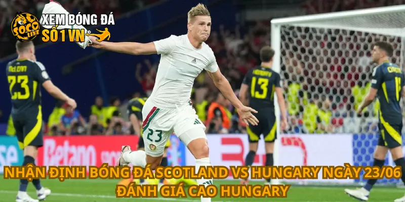 Nhận Định Bóng Đá Scotland Vs Hungary Ngày 23/06 2 Nhận định bóng đá Scotland vs Hungary ngày 23/06 đánh giá cao Hungary