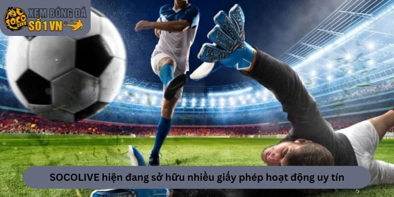 Trang web hiện đang sở hữu nhiều giấy phép hoạt động uy tín